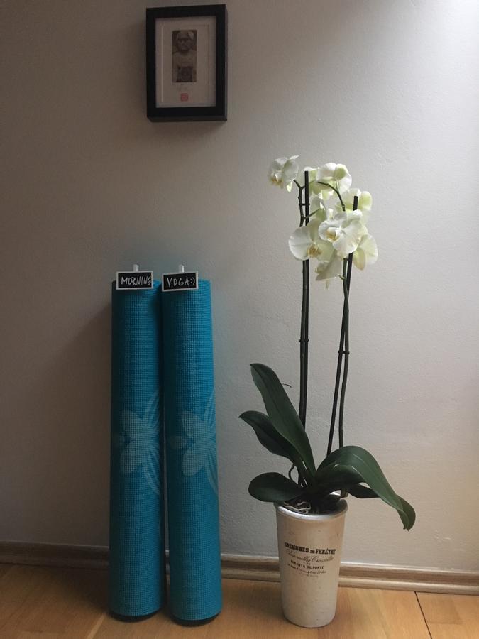 Amazing Angie'S Apartment Прага Екстер'єр фото